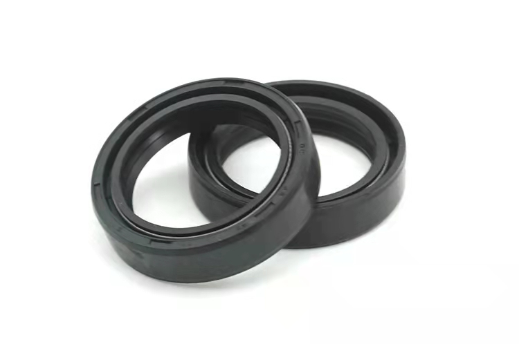 DC型丁腈双面双弹簧骨架油封1.jpg